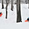 Snow Day With Sledding, Hot Chocolate In City Parks